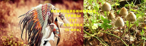 скорость Кодинск